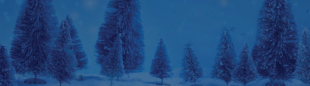 Grâce à WestJet, les rêves de Noël se réalisent