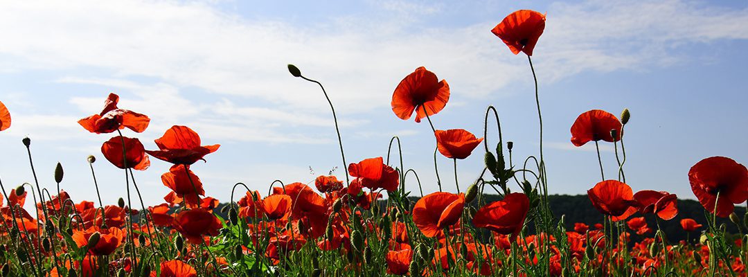 Remembering