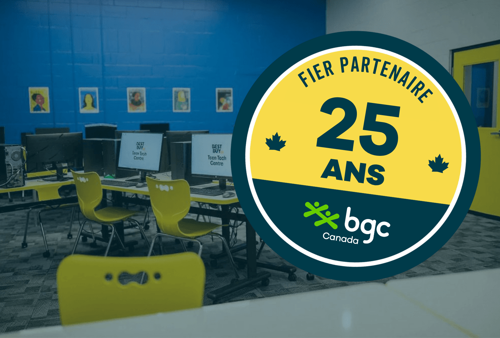 Best Buy Website - Partner Anniversary Graphic