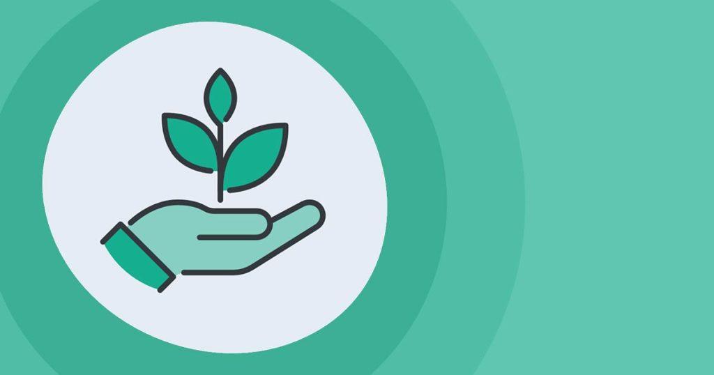 Green line art icon of a hand holding a small plant seedling.